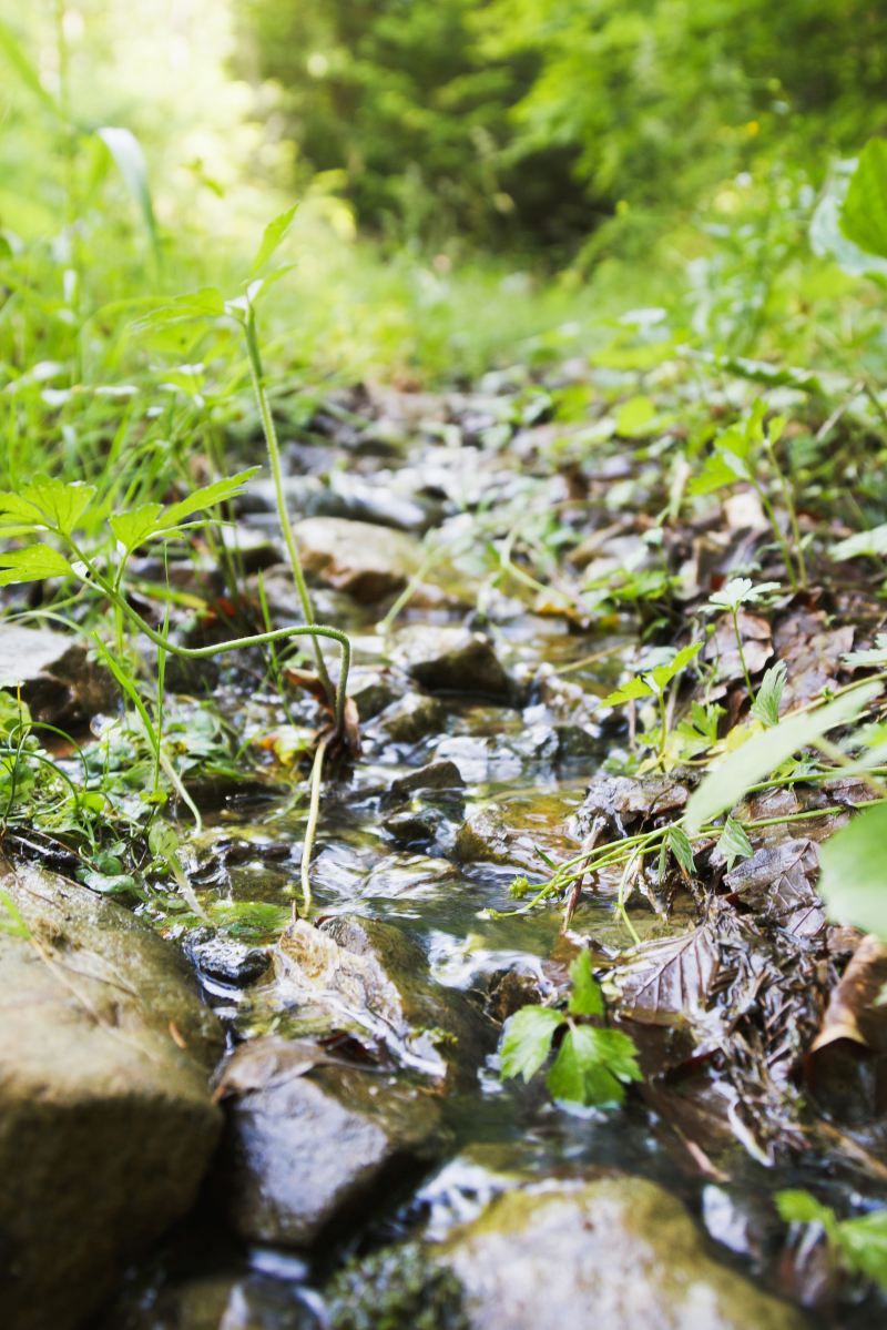 18 Water Ecological Scenic Area