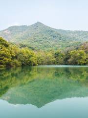 Tianzhu Mountain Forest Park