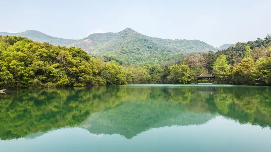 톈주산 산림공원