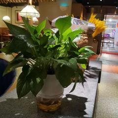 食锦记家宴·闽南菜(开元盛世广场店) User Photo