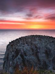 Cormorant Island