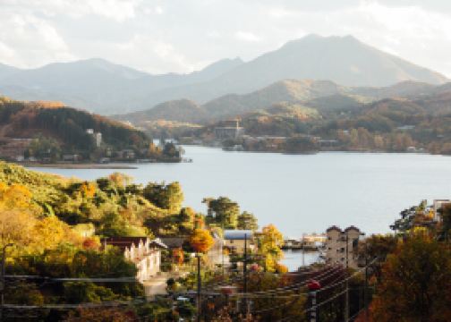 ケイズハウス北海道 クーポン