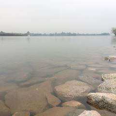 桃园坝农家乐·翘壳鱼·烤全羊·柴火鸡团建·家庭聚餐 User Photo