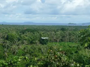 Île Cuyo