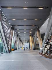 Museo de Arte Contemporáneo de Tokio