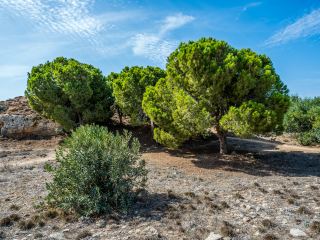 FR Flights Malta to Paphos