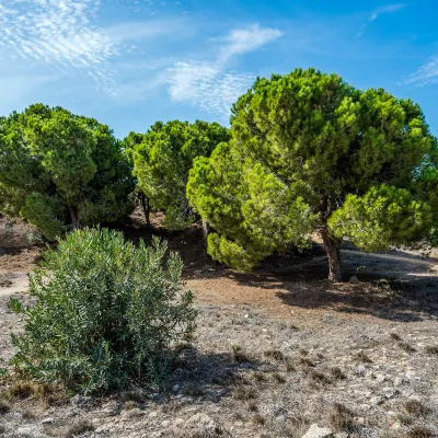 Paphos to Manchester Flights