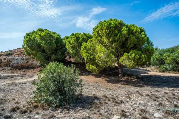 Vuelos Londres Pafos