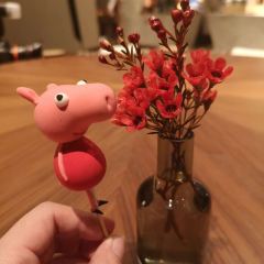 Snack & Weck User Photo