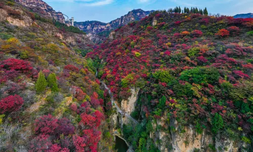 Zibo Fall Leaves Viewing