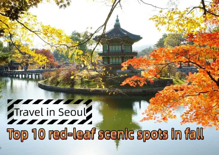 An ultimate guide to Seoul: Top 10 red-leaf scenic spots in fall