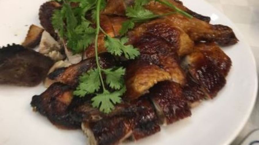 森波拉度假森林丛林餐厅