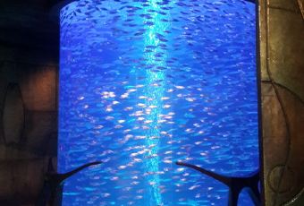 Ristorante L’Olivo at Al Mahara User Photo