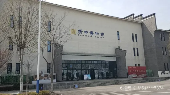 Yangzhong Museum