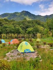 米倉山旅遊景區-大壩森林公園