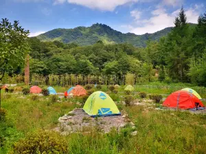 米倉山旅遊景區-大壩森林公園