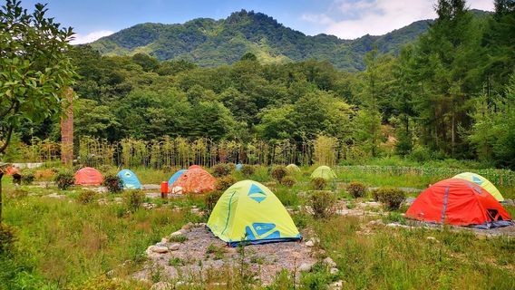 สวนป่าเขื่อน