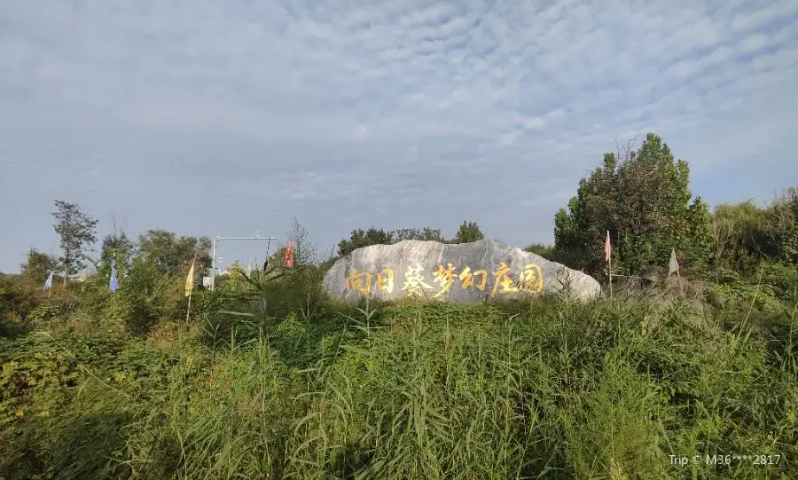 向日葵夢幻莊園露營地