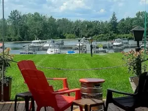 Swan on the Rideau