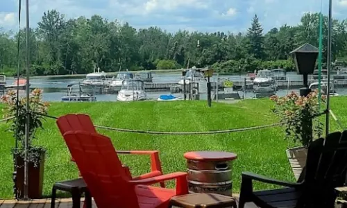 Swan on the Rideau