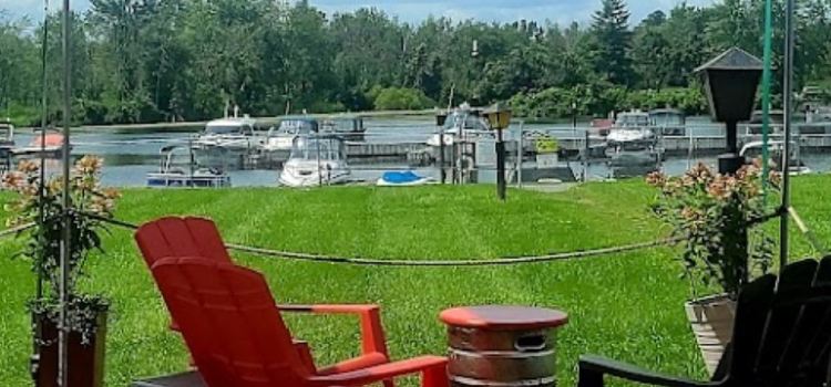 Swan on the Rideau