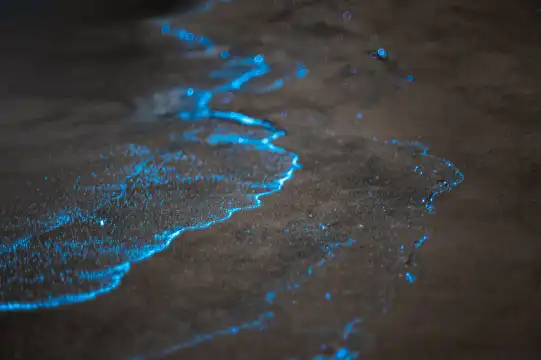 鄰近藍眼淚觀景點（68小鎮猴研島海岸沿線）的酒店