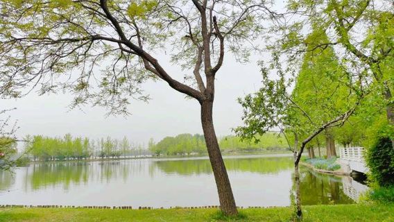 Xiongyue Botanical Garden (South Gate)