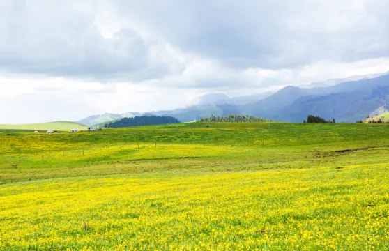 阿克塔斯草原樂在氈房體驗大小同價