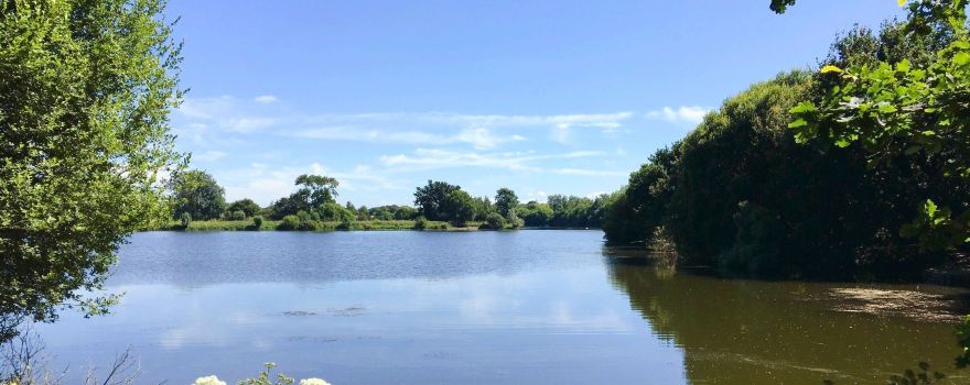 Dinton Pastures Country Park