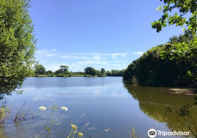 Dinton Pastures Country Park