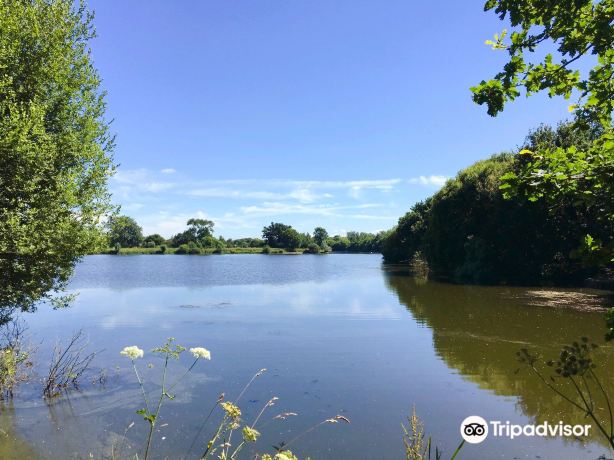 Dinton Pastures Country Park