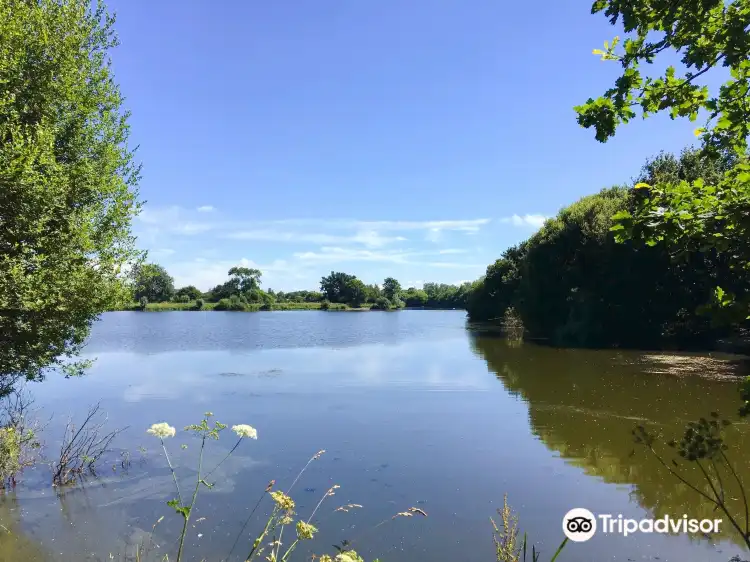 Hotels near Dinton Pastures Country Park