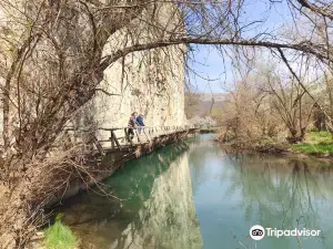 Riverside Landscape Park "Panega"
