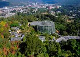 Kunming Botanical Garden