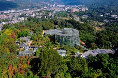 Kunming Botanical Garden
