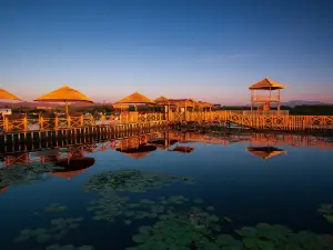 Lotus Sea World