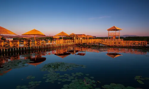 Lotus Sea World