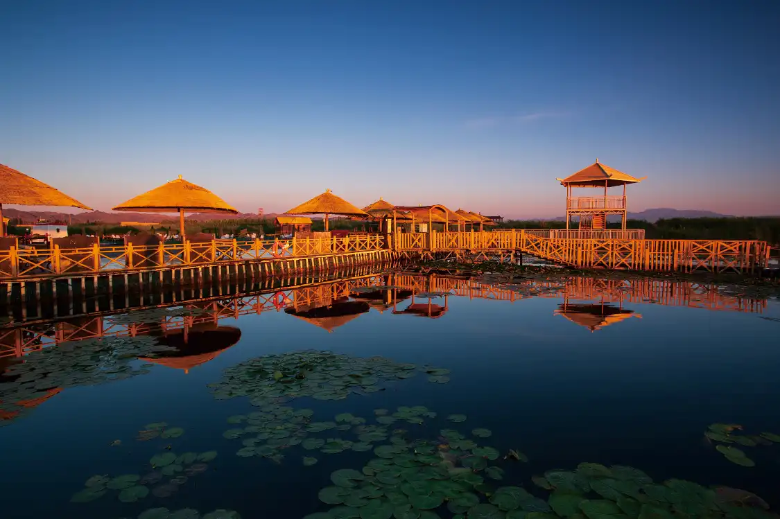 Hotels near Lotus Sea World