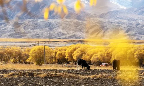Pamirs Plateau
