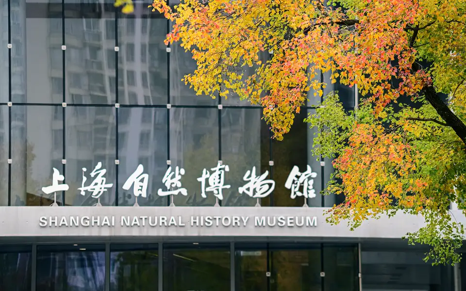 2_Shanghai Natural History Museum