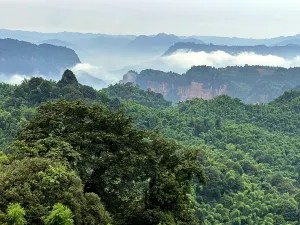 Muchuan Zhuhai