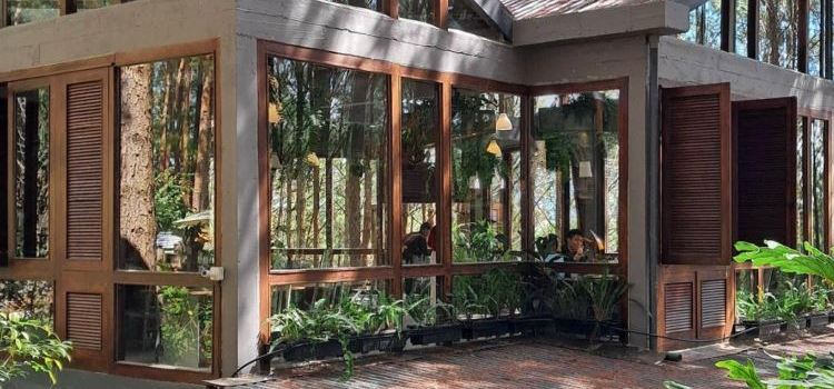 Rừng Thông Mơ Farm & Bistro
