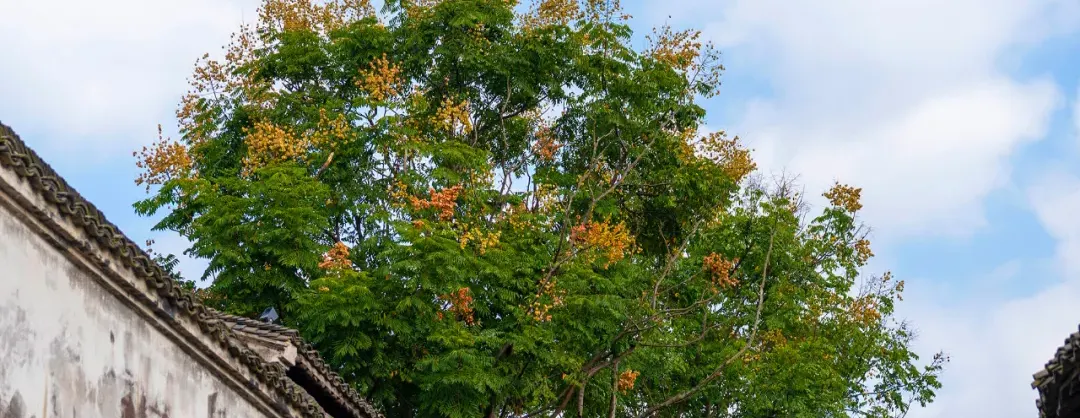 Attrazioni per la visione autunnale