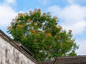 Popular Fall Viewing Attractions in Haining