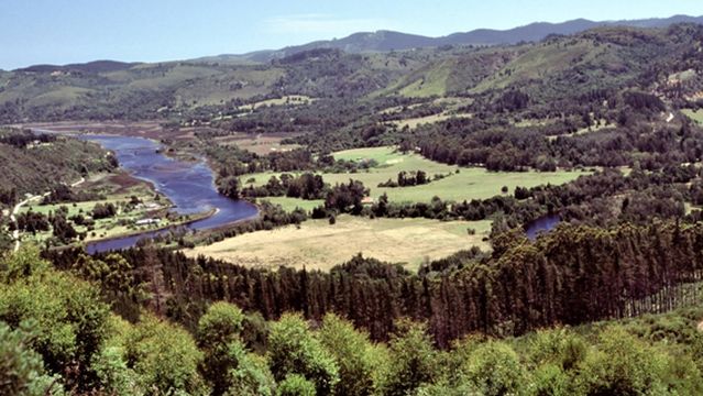 Knysna River