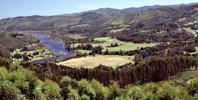 Knysna River