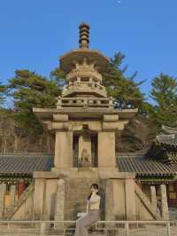 불국사, 경주