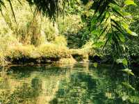 Back to nature