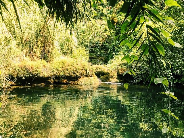 Back to nature