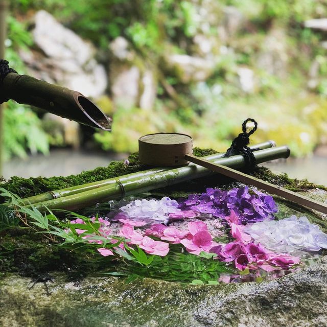 京都　柳谷観音　花手水